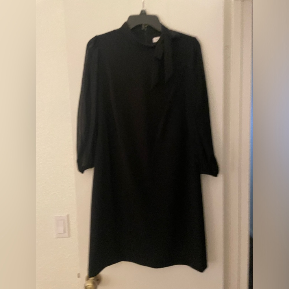 Calvin Klein black dress with long (see-through) sleeves.  Size 10